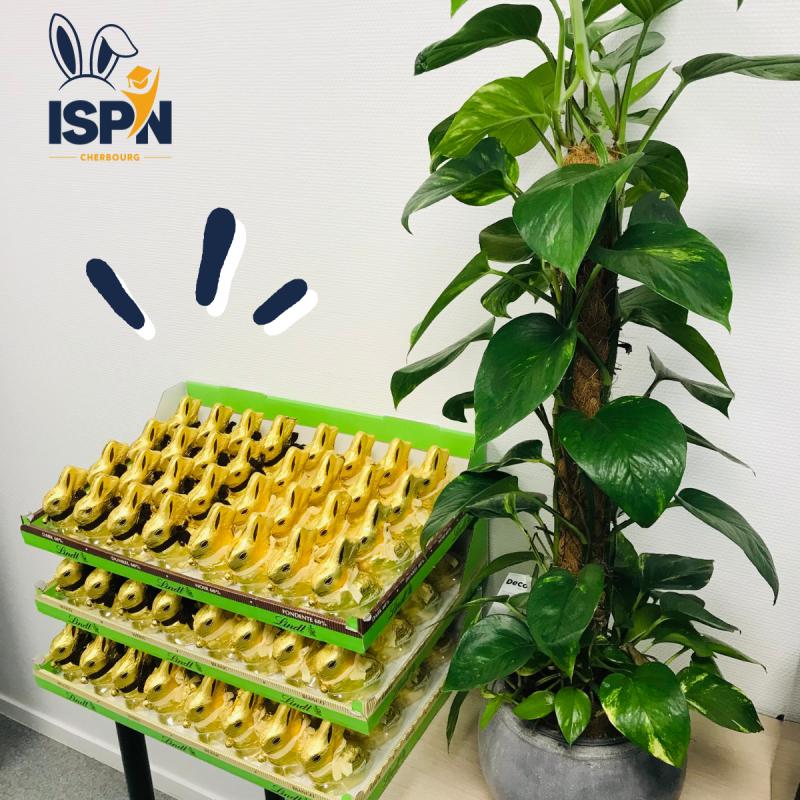 Pâques à l'ISPN de Cherbourg 🐰